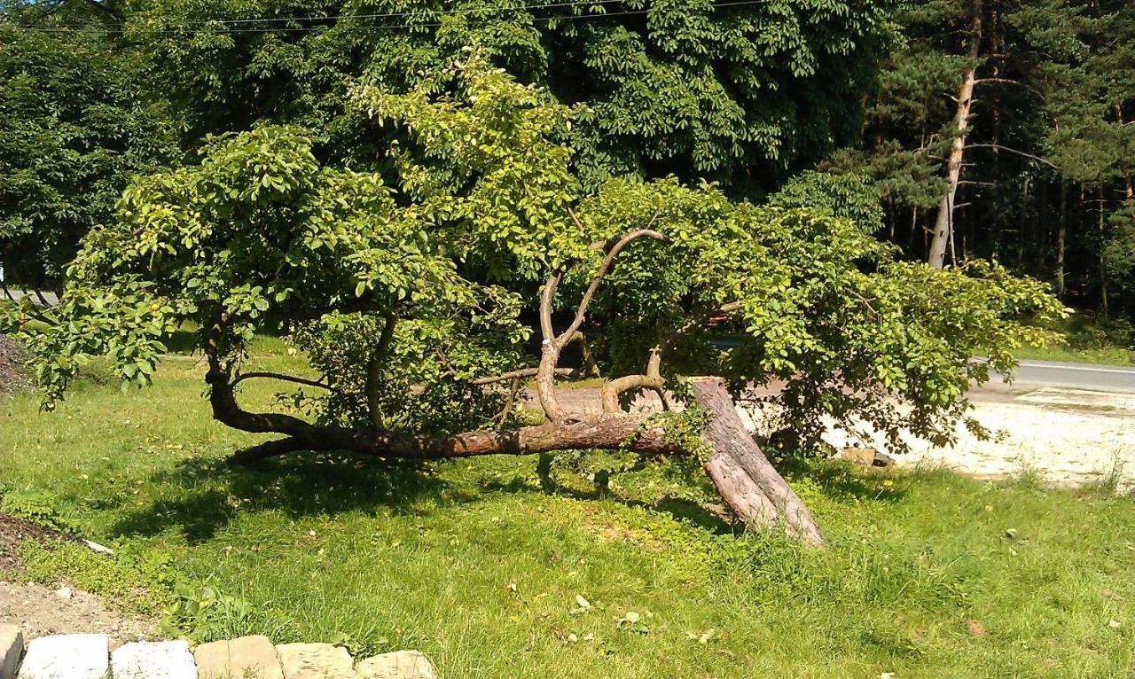 Penzion Slunecno Dobšín エクステリア 写真